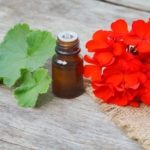 Sardunya Yağının Cilde Faydaları