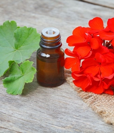 Sardunya Yağının Cilde Faydaları