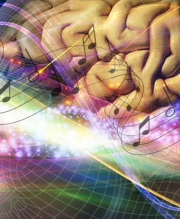 Anadolu Sifası Neden Önemli?