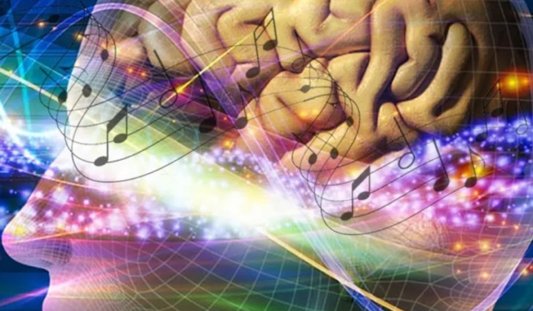 Anadolu Sifası Neden Önemli?