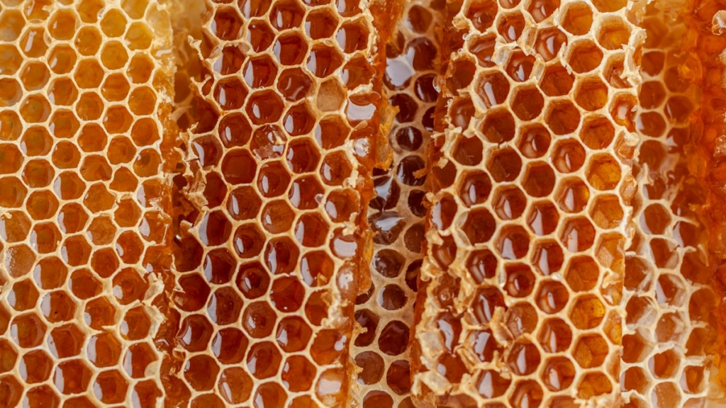 Bal dolu petek yakın plan