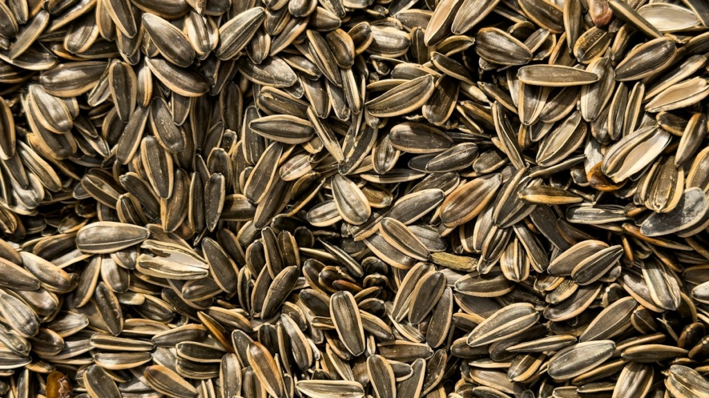 Magnezyum açısından zengin kuruyemiş ve yeşil yapraklı besinler